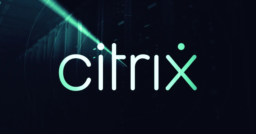 Citrix NetScaler Recon-Angriff Visualisierung